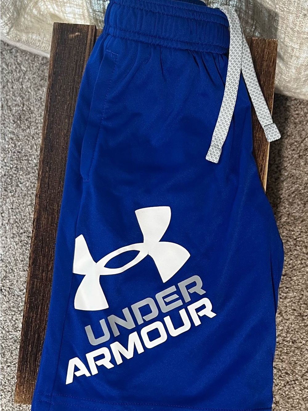 Under Armour Royal Blue Shorts with White Logo